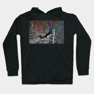 Three Crows Hoodie